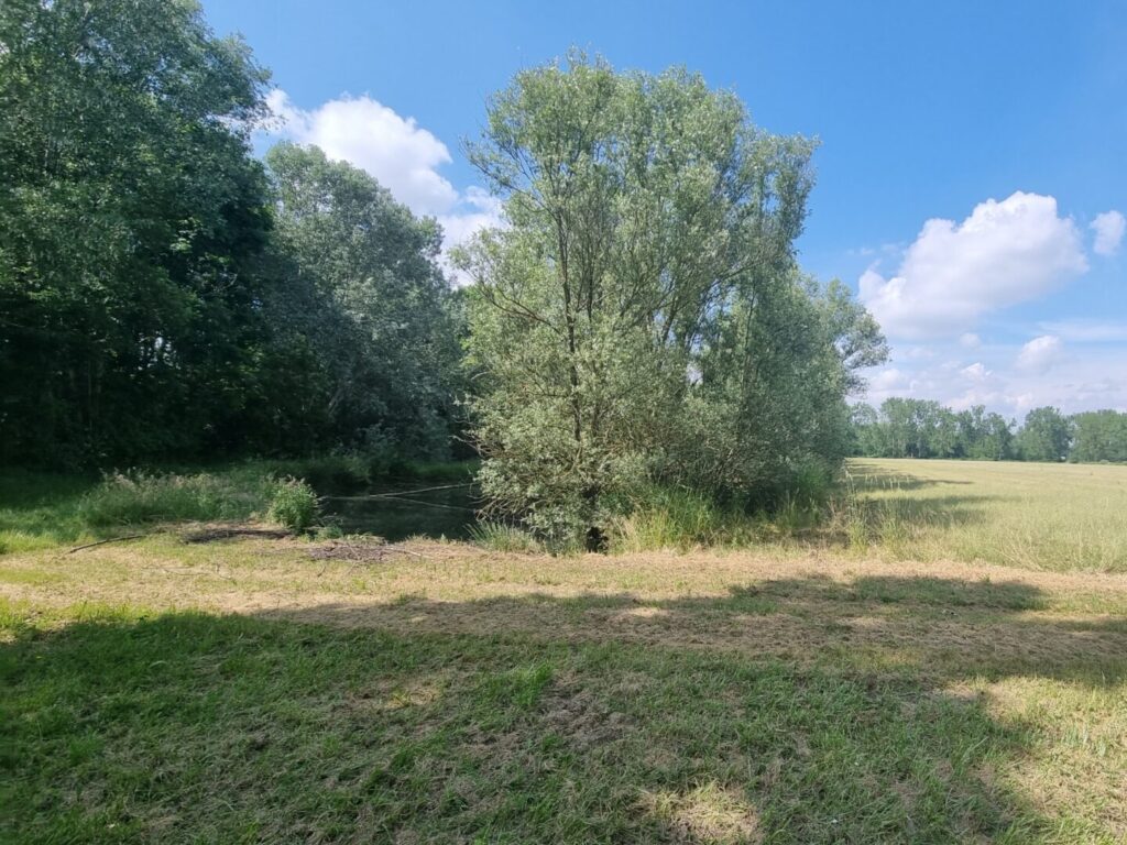 Blick in eine Landschaft - links schlängelt sich ein Bach entlang eines Feldes, an dessen Ufer Bäume stehen.