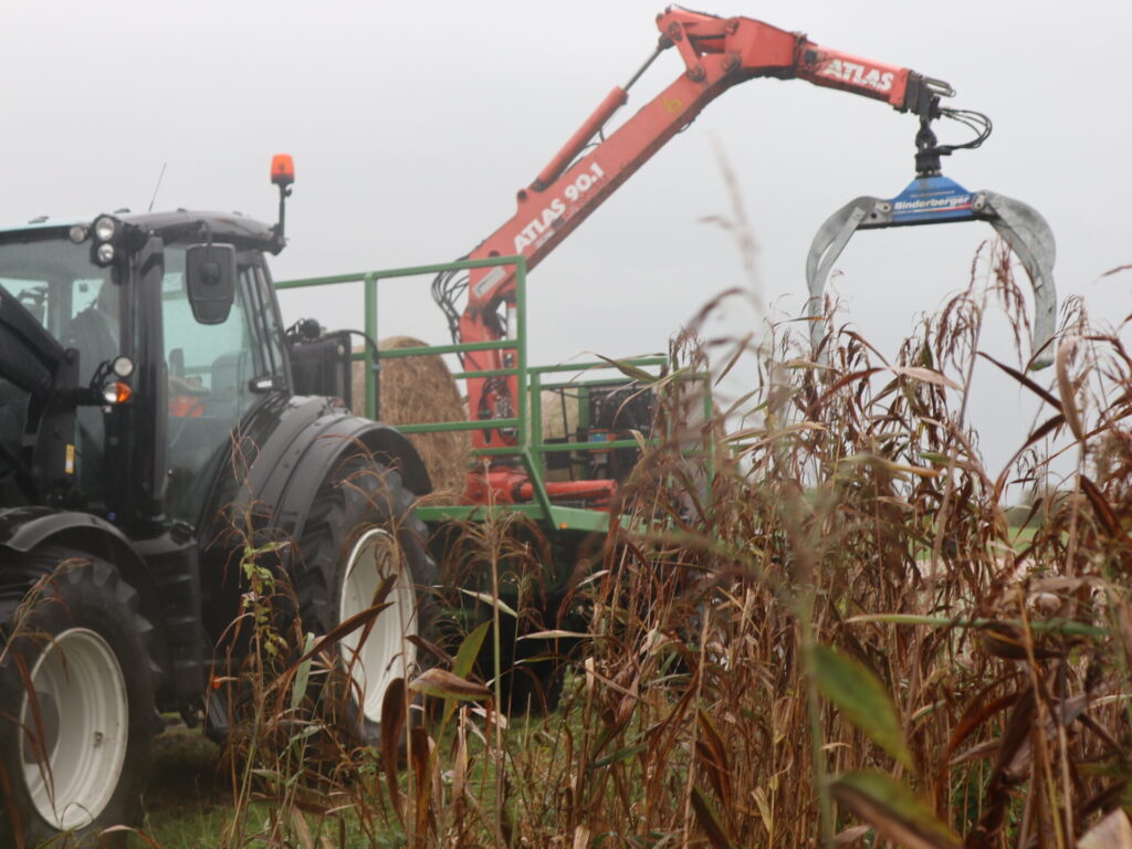 Ein Traktor Erntet Rohrkolben mithilfe einer Greifzange, die auf einem Anhänger befestigt wurde.