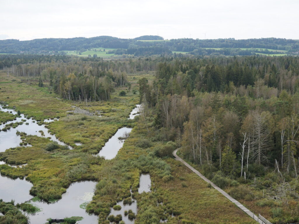 Blick von einem Turm herunter auf einen Teil des Pfrunger-Burgweiler Rieds.
