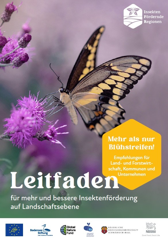 Zu sehen ist das Cover des Leitfadens vom Projekt IFR. Darauf ist ein Bild vom Schwalbenschwanz Schmetterling.