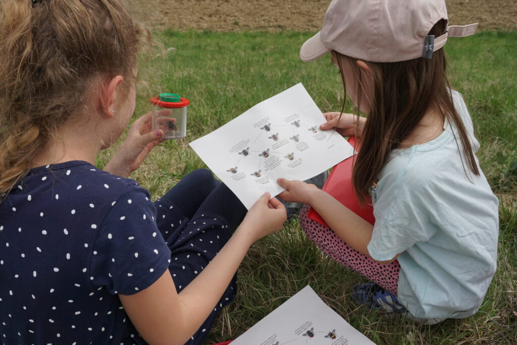 Blick von hinten auf zwei Mädchen in Sommerkleidung, die im Gras sitzen. Sie halten ein Blatt Papier mit Hummelfotos darauf in Händen. Das Mädchen links hat eine Plastikdose in der Hand, in der eine Hummel sitzt.