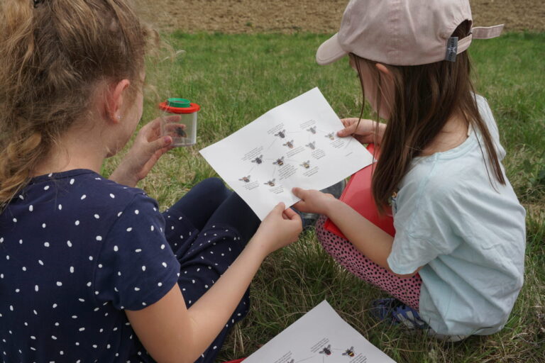Blick von hinten auf zwei Mädchen in Sommerkleidung, die im Gras sitzen. Sie halten ein Blatt Papier mit Hummelfotos darauf in Händen. Das Mädchen links hat eine Plastikdose in der Hand, in der eine Hummel sitzt.