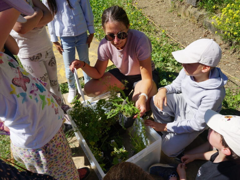 Eine Gruppe von Kindern steht um eine Plastikbox, in der Töpfchen mit Kräutern stehen. In der Bildmitte hebt Saskia Wolf ein solches Töpfchen aus der Box heraus.