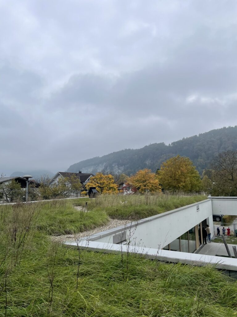 Das Bild zeigt den Kindergarten Ried von oben und man sieht das Gründach ohne PV-Anlage. Im Hintergrund sind Berge. Das Wetter ist trüb.