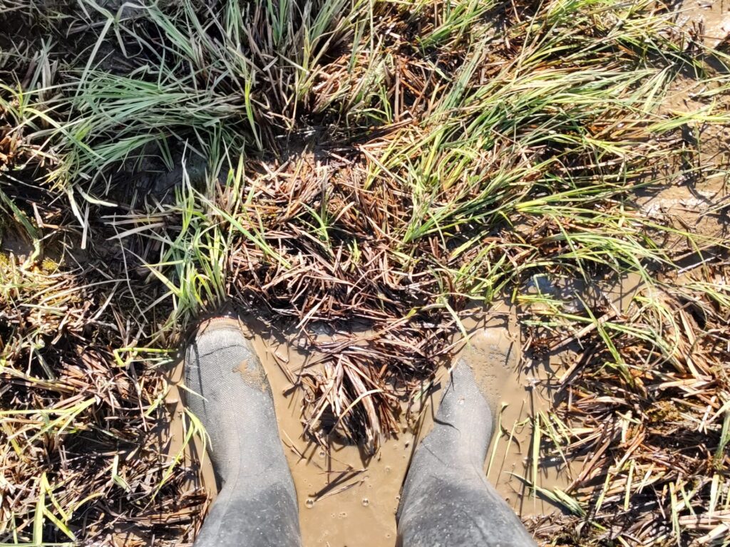 Vogelperspektive auf ein Paar Gummistiefel, die im Matsch stehen.
