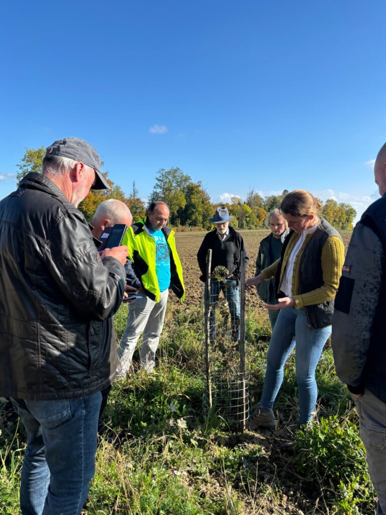 Teilnehmer*innen schauen auf ein frisch angepflanztes Bäumchen