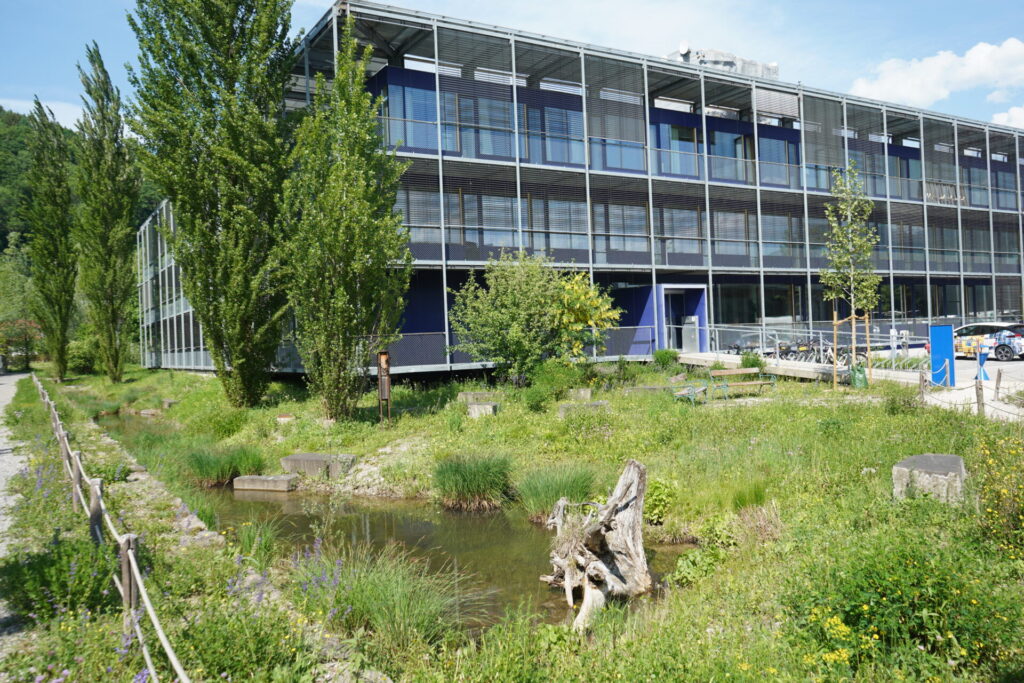 Im Blick ist das Gelände der Firma Omicron in Klaus in Vorarlberg. Man sieht eine schöne Grünfläche mit einem kleinen Teich, Totholz und Büschen und Bäumen.