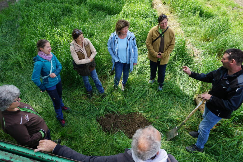 Blick aus der Vogelperspektive auf eine Gruppe Menschen, die auf einer Grünfläche im Kreis steht. In der Mitte des Kreises liegt ein Häufchen frisch gehobenen Bodens.