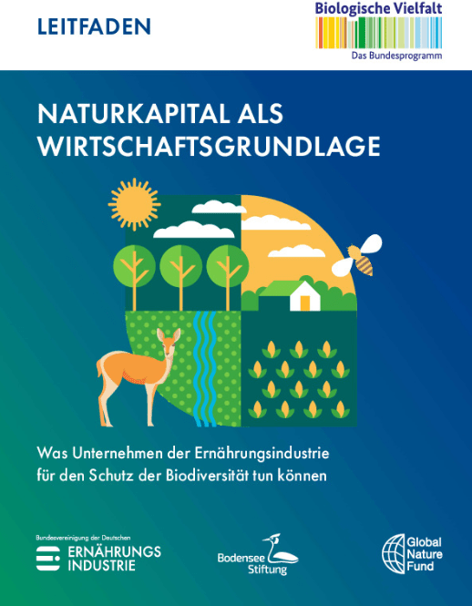 Zu sehen ist das Cover des Leitfadens, Darauf steht "Naturkapital als Wirtschaftsgrundlage". In der Mitte ist ein Abstraktes Bild abgebildet, das in vier Komponenten aufgeteilt wurde. Dort sind verschiedene Biotope zusehen.