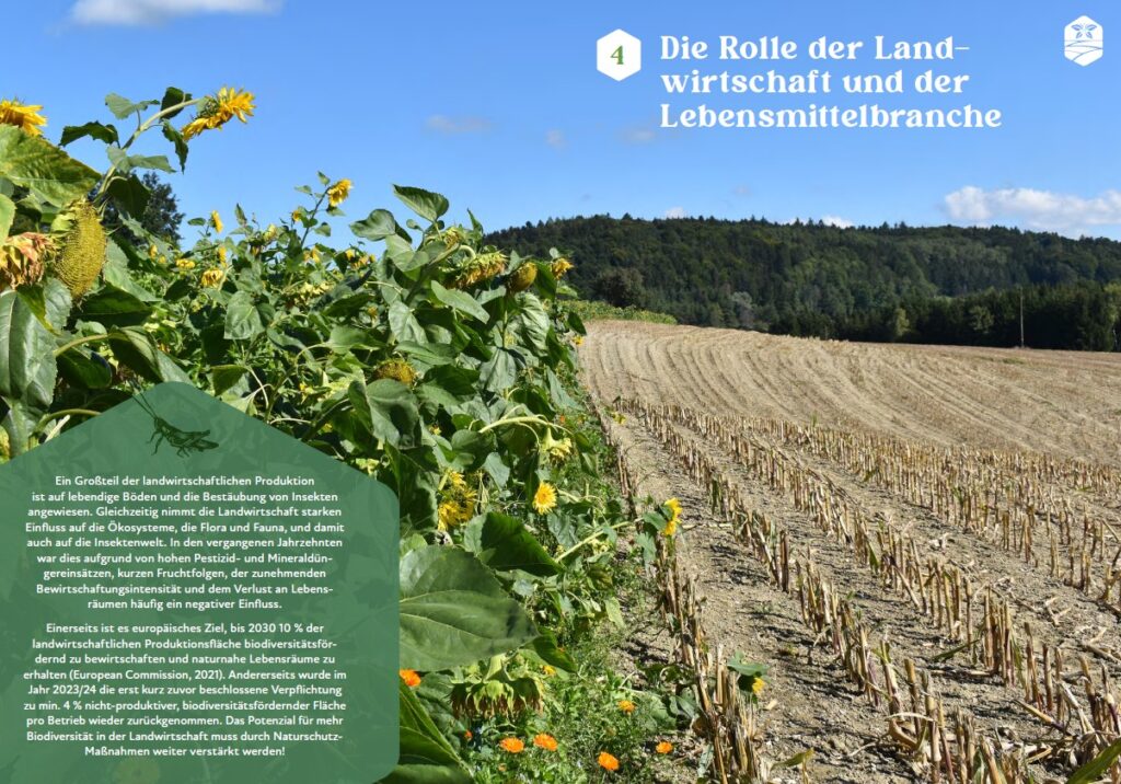 Im Blick ist eine Seite aus dem Leitfaden: Die Rolle der Landwirtschaft und der Lebensmittelbranche.