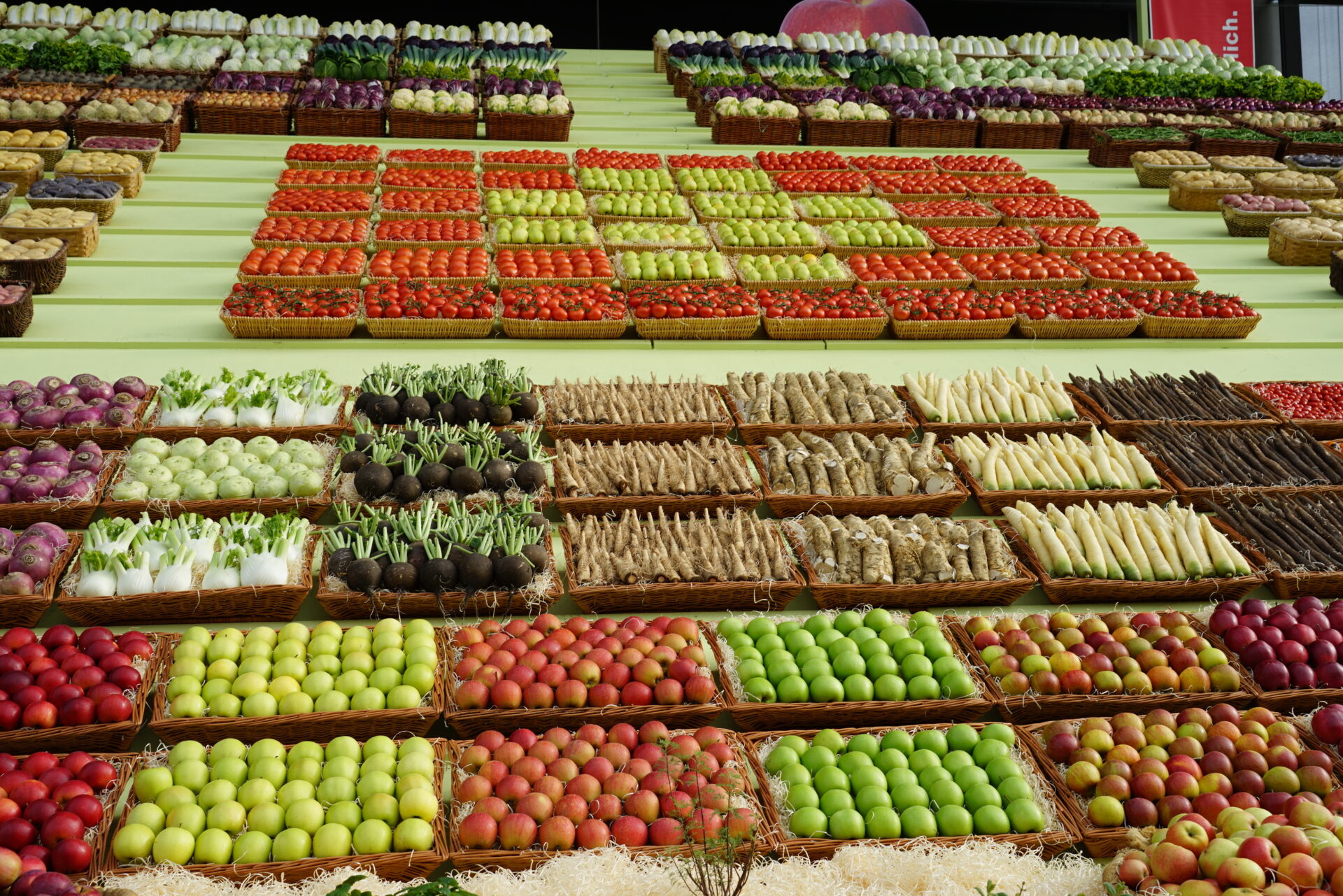 Blick von schräg oben herunter auf eine Fläche, die fast vollständig mit Kisten jeweils mit Tomaten, Äpfeln, verschiedenem Wurzelgemüse gefüllt sind.