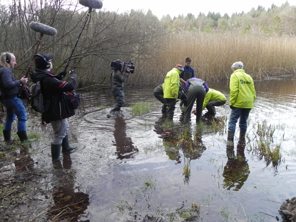 Neun Menschen stehen mit Gummistiefeln in einem Kleingewässer. Zwei Frauen links halten lange Mikrofone über die Gruppe. Ein Kameramann läuft zu vier Menschen, die sich über die Wasseroberfläche bücken.
