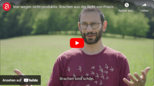 Screenshot aus einem Youtube-Film. Im Vordergrund ist ein Mann bis Brusthöhe zu sehen, der gestikuliert und in die Kamera spricht.