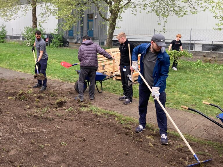 Junge Männer bearbeiten mit Rechen und Spaten eine Grünfläche. Im Hintergrund trägt einer Äste weg, dazwischen steht eine Schubkarre.