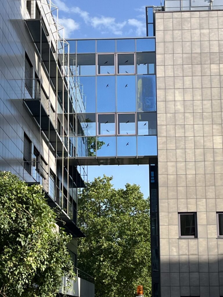 Blick auf eine verglaste Brücke zwischen zwei Gebäuden.