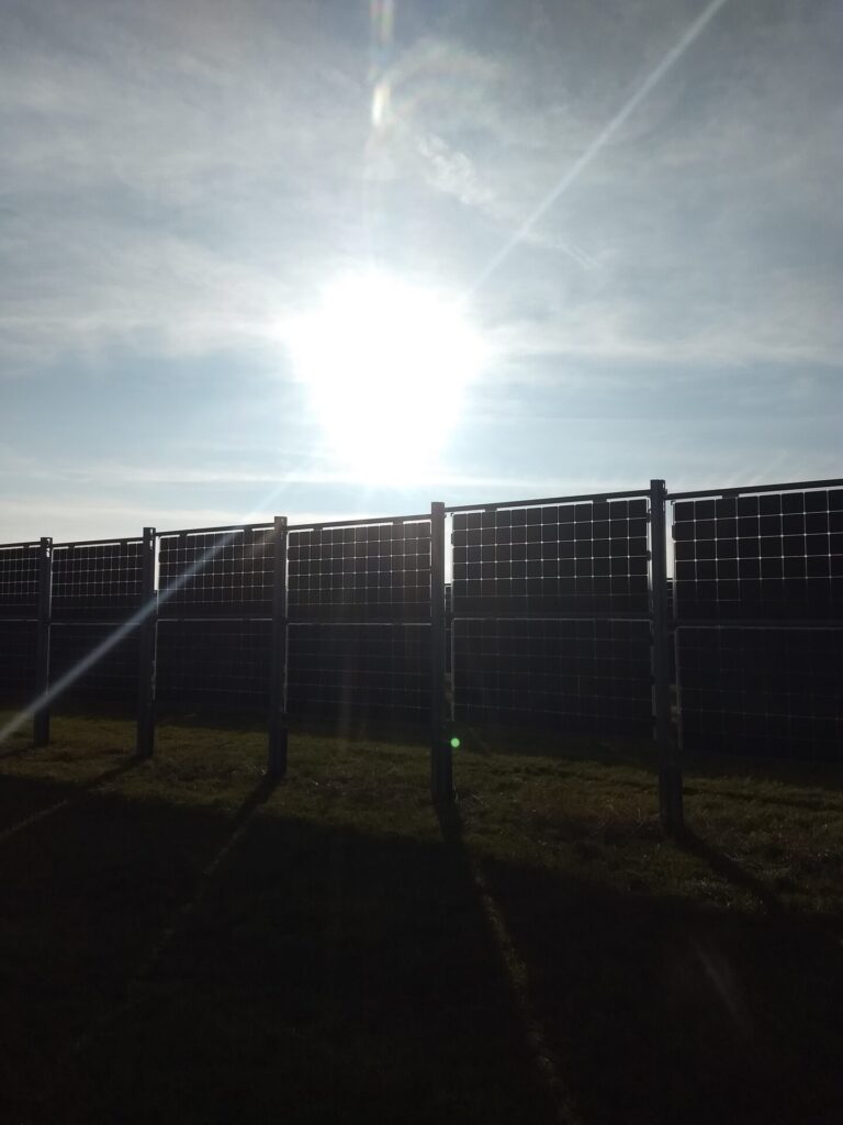 Blick ins Gegenlicht auf bifaziale Solarpaneelen auf einer Grünfläche. Über den Solarpaneelen scheint die Sonne.