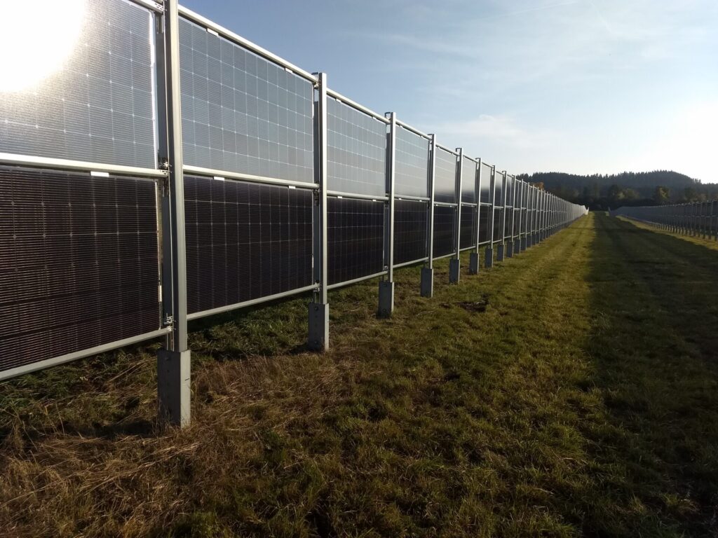 Blick von der Seite auf eine Reihe bifazialer Solarmodule auf einer Grünfläche.