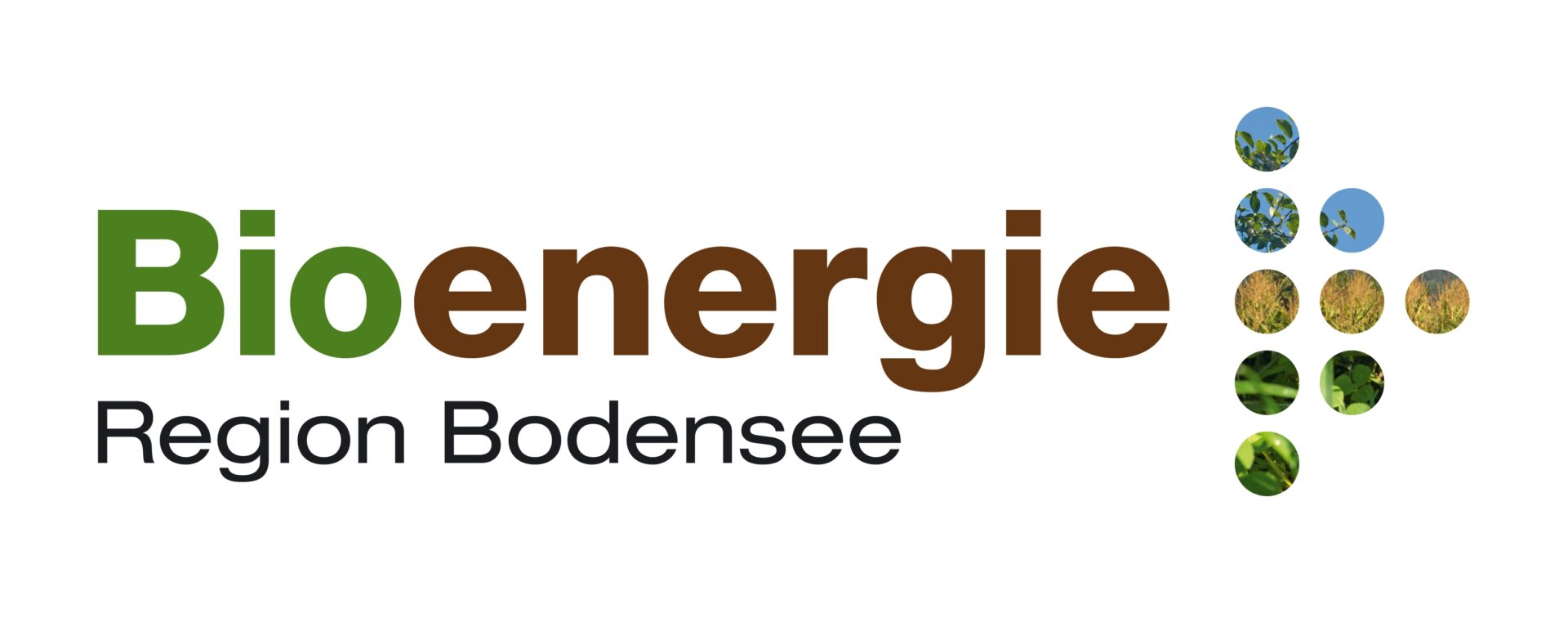 Logo Bioenergie Region Bodensee