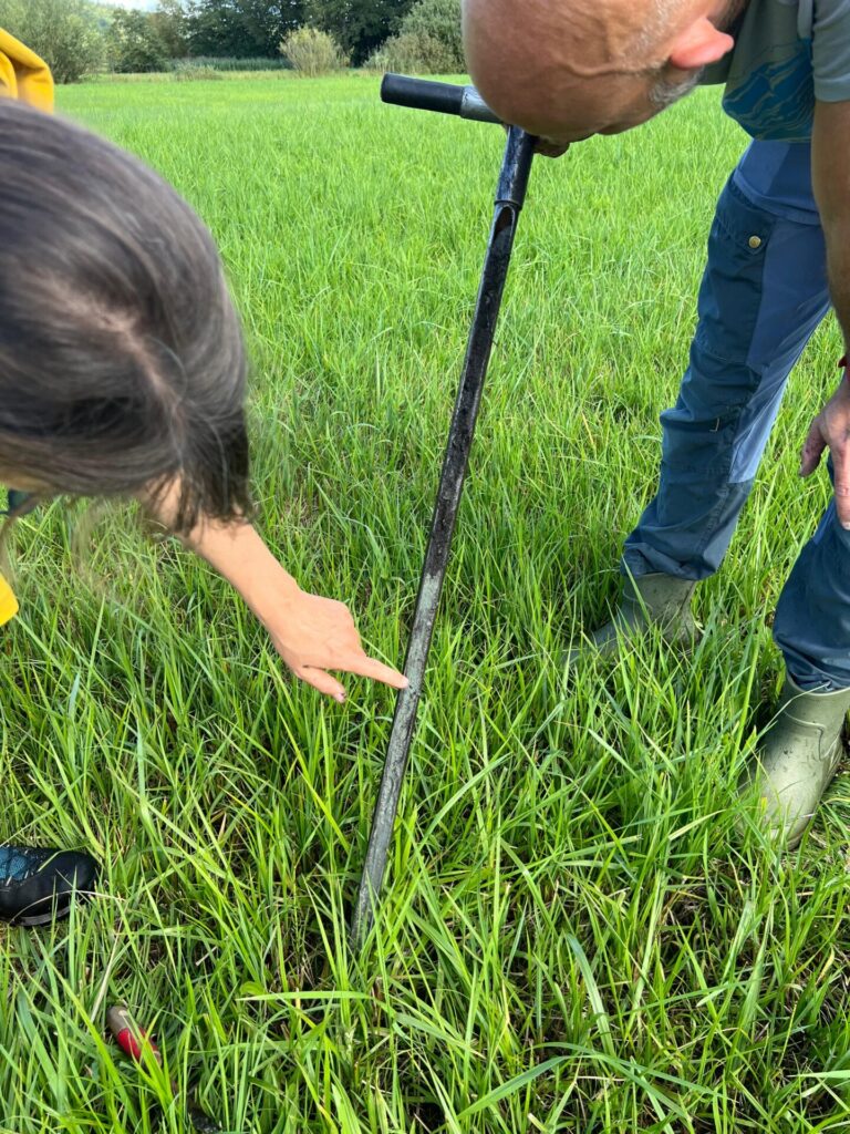 Eine Frau links und ein Mann rechts schauen nach unten gebeugt auf einen Bohrstock.