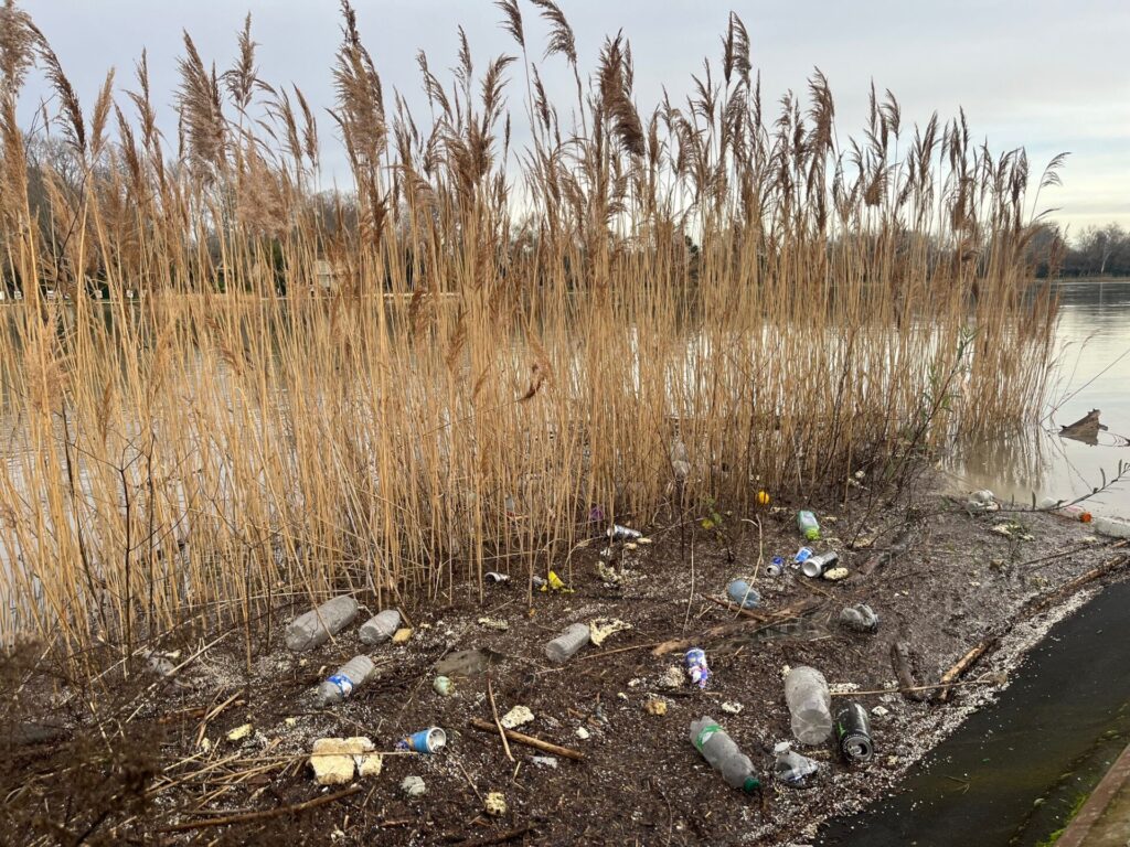Blick auf ein fließendes Gewässer. Hinter einer Schilfwand haben sich Getränkedosen und Plastikflaschen gesammelt.