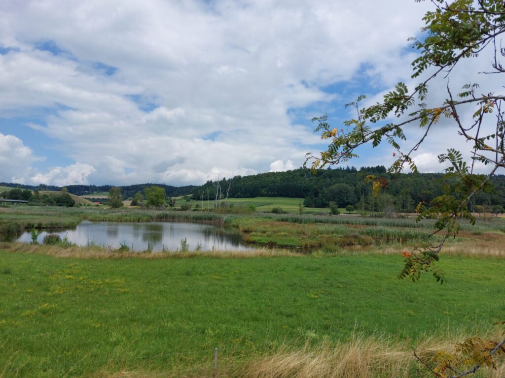 Blick auf ein Kleingewässer unter leicht wolkigem blauen Himmel in einer offenen grünen Landschaft.