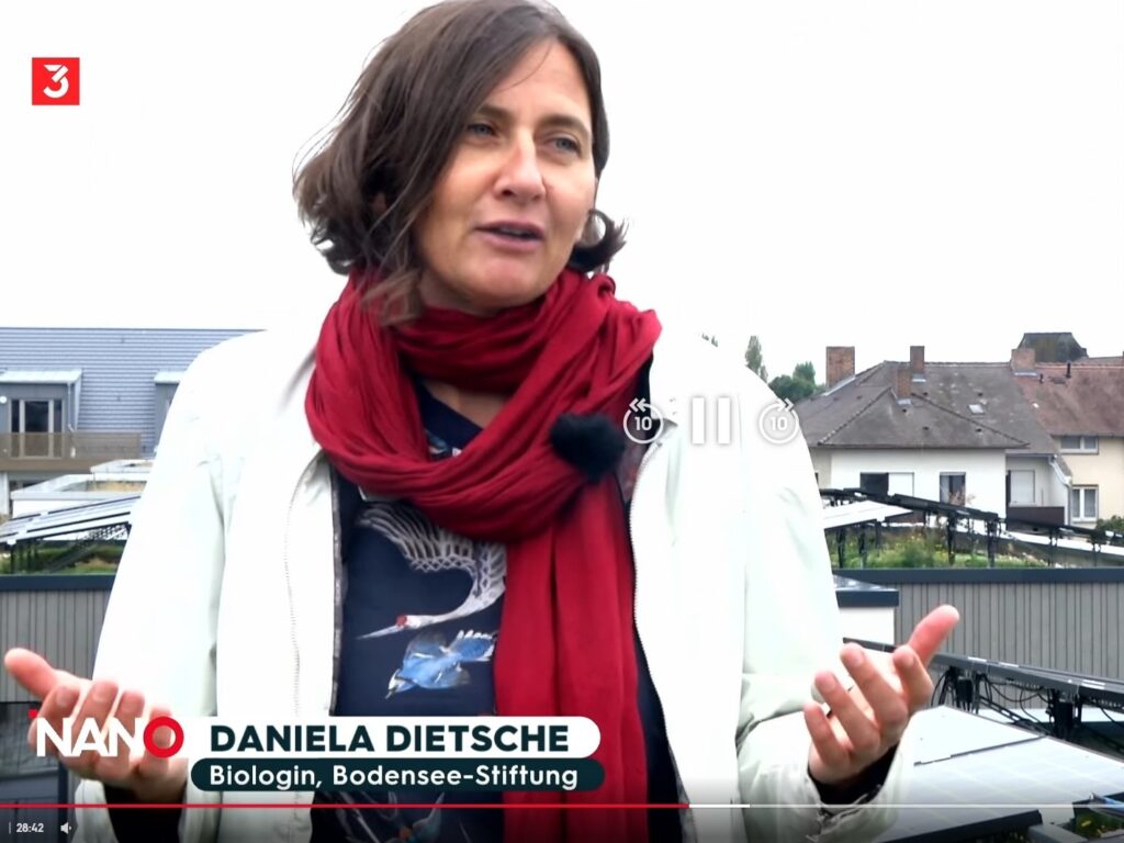 Screenshot von einer Frau, die mit den Händen gestikulierend spricht. Links oben im Bild das Logo des Senders 3Sat.