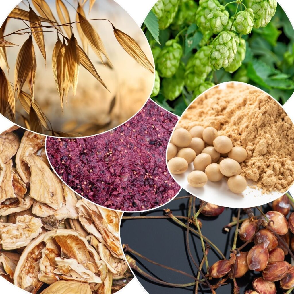 Collage von verschiedenen Restbiomassen (Hopfen, Trester, Hafer, Kirschkerne)