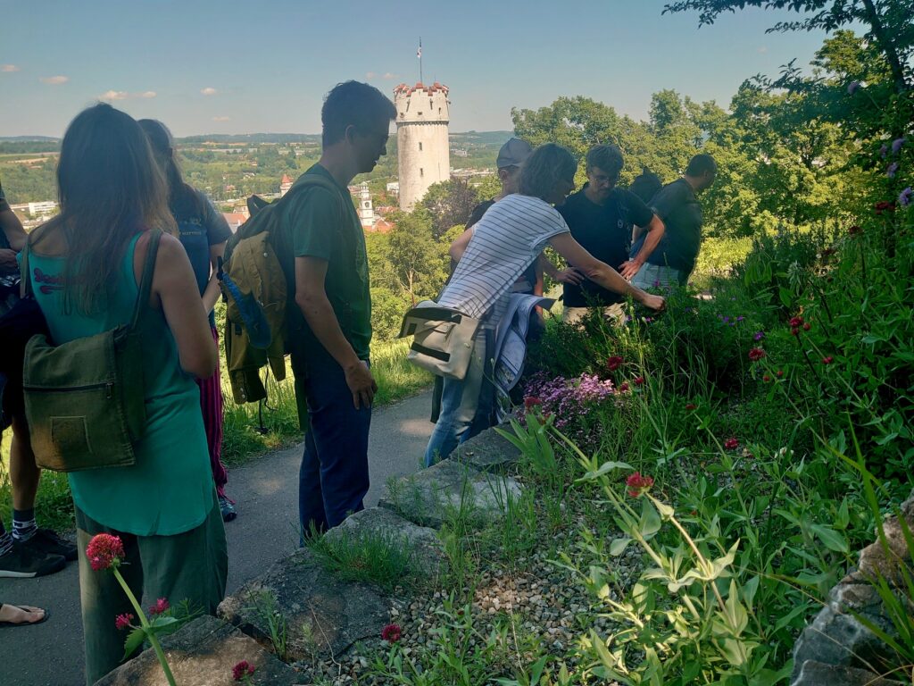 In der Mitte des Bilds ist ein mittelalterlicher Turm zu sehen. Davor steht eine Gruppe auf einem Weg und betrachtet die Pflanzen, die rechts des Weges blühen.