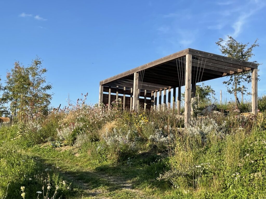 Blick auf eine Holzkonstruktion in einem artenreichen Garten.