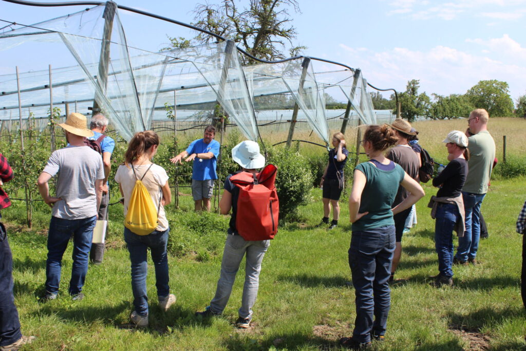 Eine Gruppe von Menschen steht am Reihenende einer Obstanlage. Ein Mann ist von vorne zu sehen. Er zeigt auf eine Fahrgasse.