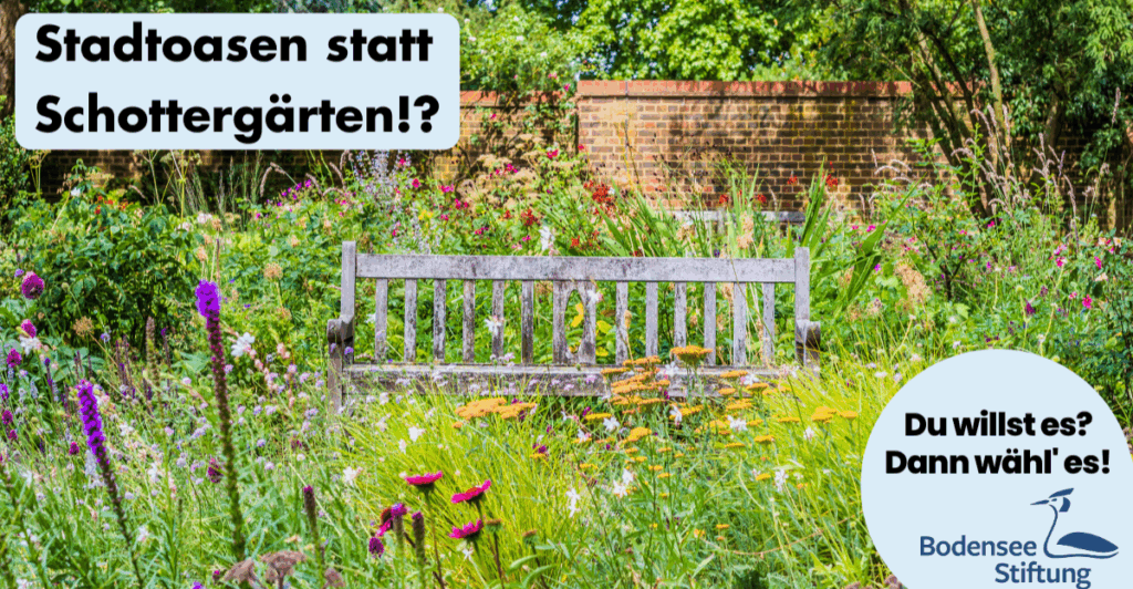 Foto einer Holzbank, die in einem bunt blühenden Garten steht. Links in der Ecke steht: Stadtoaasen statt Schottergärten? Rechts in der unteren Ecke steht: "Du willst es? Dann wähl' es! mit dem Logo der Bodensee-Stiftung