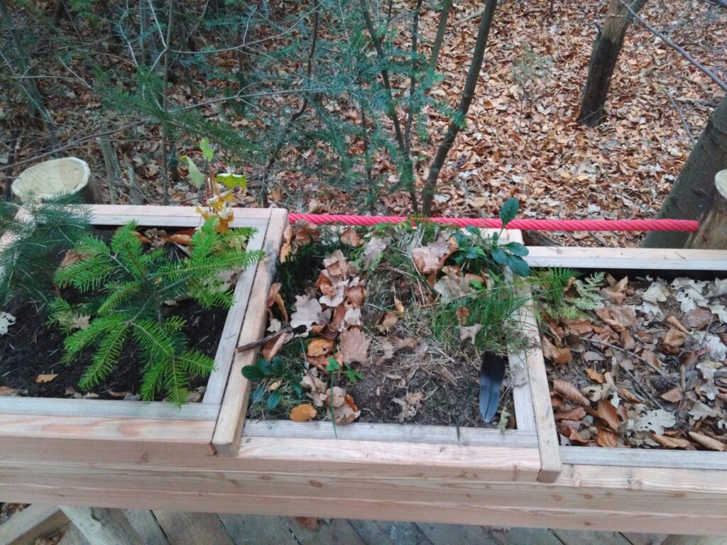 Blick von oben auf Holzkästen, die im Wald stehen. In jedem Kasten befinden sich andere Materialien und Pflanzen.
