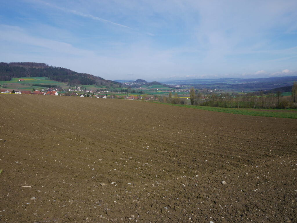 Blick in den Hegau. Im Vordergrund ein Feld mit unbedecktem Boden.