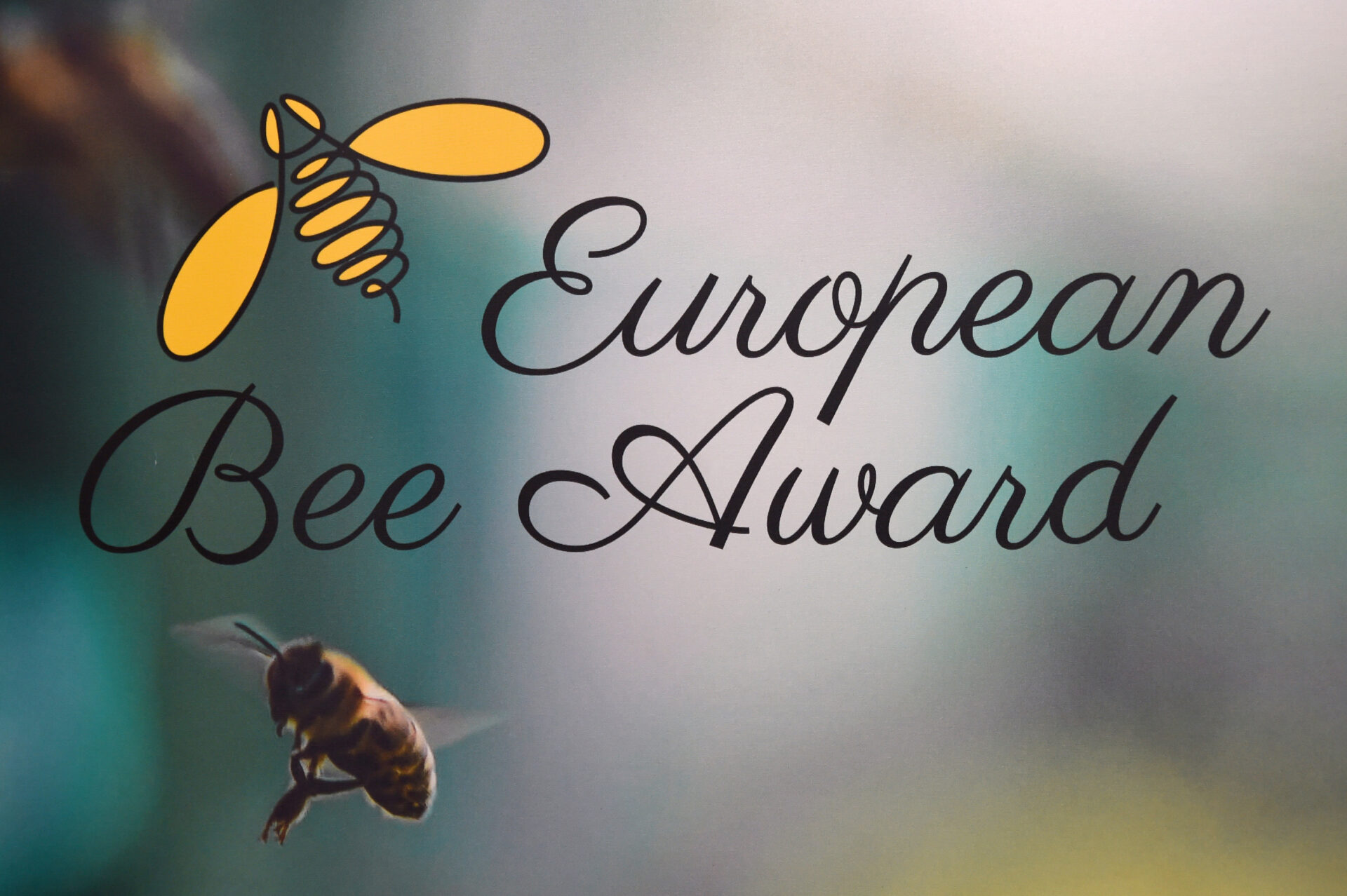 Logo des European Bee Aword mit einem geschwungenem Schriftzug, einer fotorealistischen und einer grafischen Biene vor unscharfem Hintergrund