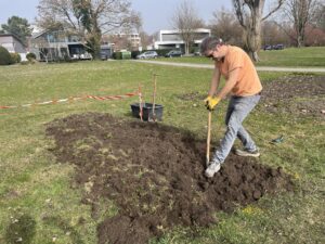 Ein Mann steht auf einer Wiese und gräbt mit einem Spaten eine Fläche um.