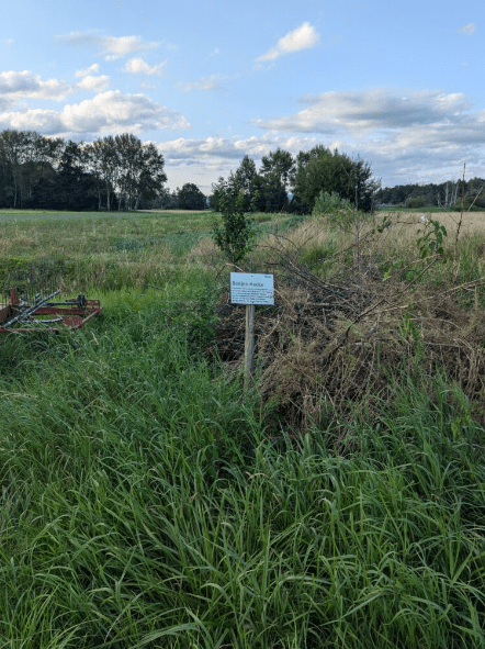 Zusehen ist ein Schild mit der Bedeutung von Benjeshecken, das auf einem Feld steht.