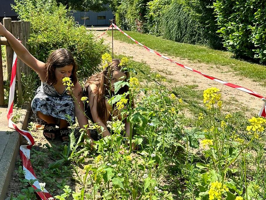 Auf dem Bild sind zwei Schülerinnen zu sehen, die hinter Blumen auf dem Boden sitzen.