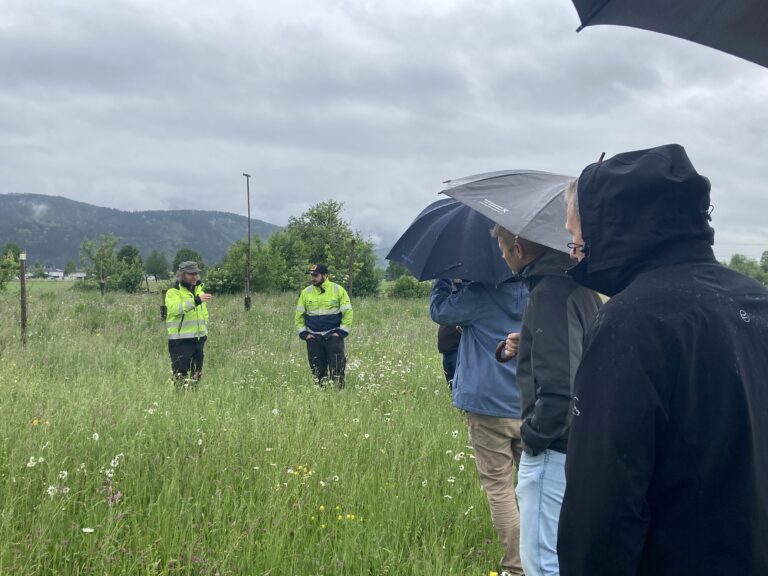 Zu sehen sind 5 Personen auf einer Wiese. Links im Bild stehen zwei mit gelb-leuchtender Jacke. Das Wetter ist düster und regnerisch.