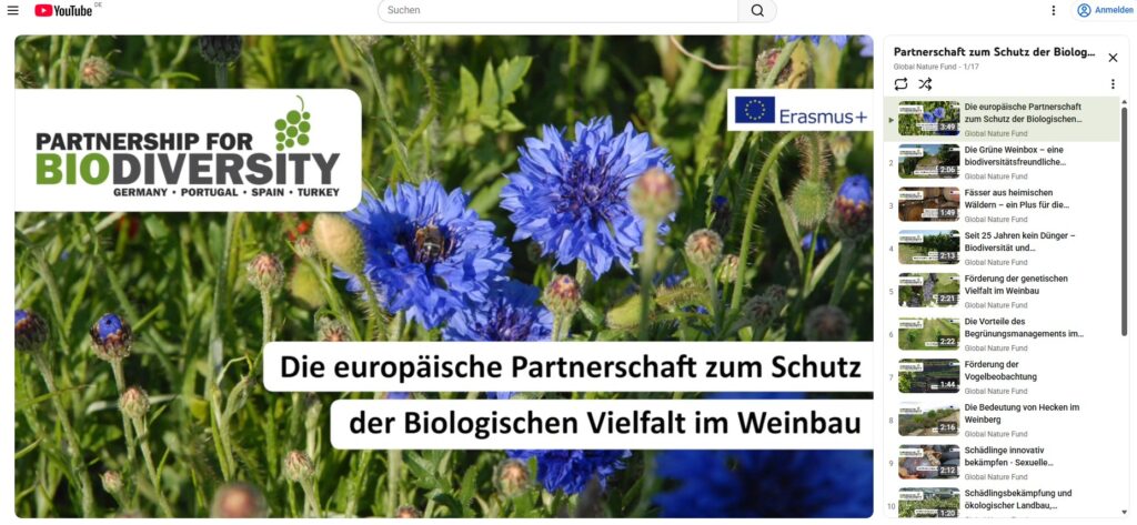 Screenshot eines Schulungsvideos