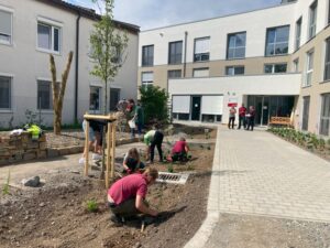 Auf dem Bild ist die Anlegung des neuen Gartens der Stiftung Liebenau zu sehen. Umrandet wird er von dem Gebäude.