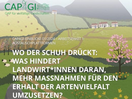 Man sieht ein Plakat des Projektes CAP4GI. Der Schriftzug ist "Wo der Schuh drückt: Was hindert Landwirt*innen daran, mehr Maßnahmen für den Erhalt der Artenvielfalt umzusetzen?"