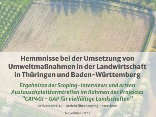 Bild von einem Feld aus der Vogelperspektive. Es ist das Cover des Zwischenberichtes mit den Ergebnissen der Scoping-Interviews.