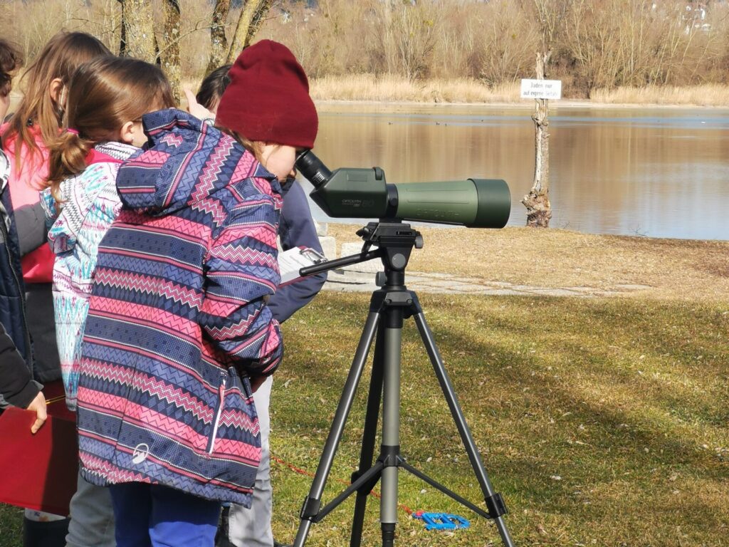 Zusehen sind Grundschüler*innen, die vor einem See stehen. Ein Mädchen schaut durch ein Fernglas.