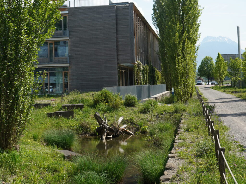 Blick auf die Retentionsfläche vor einem Bürogebäude, in der u. a. Totoholz liegt.