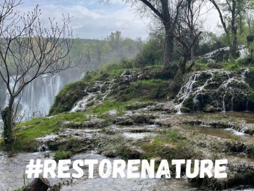 Auf dem Bild ist eine Wasserlandschaft zu sehen inmitten eines Waldes. Darunter steht der Hashtag Restore Nature