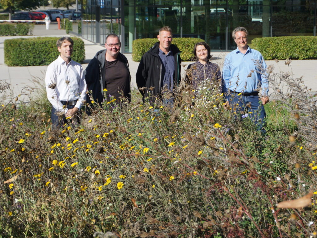 5 Personen stehen hinter hohen Blumen und lachen in die Kamera.