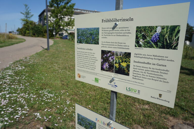 Ein Schild steht am Wegrand mit der Überschrift "Frühblüherinseln".