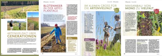 Aufgeschlagener Fachartikel