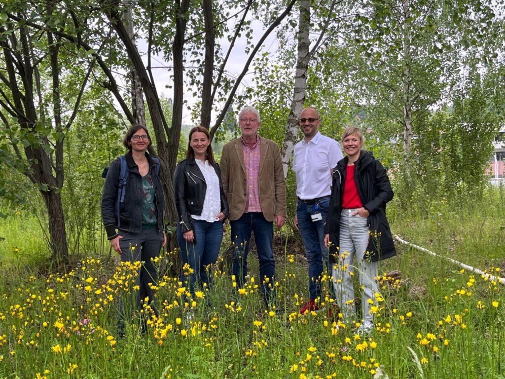 5 Personen stehen unter Bäumen im hohen Gras.