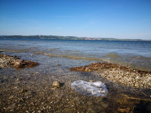 Ein See mit einer Plastiktüte.